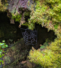 Load image into Gallery viewer, a spiderweb with dew drops nestled in a hollow of a tree trunk covered in moss is the reference image and inspiration for the pendant